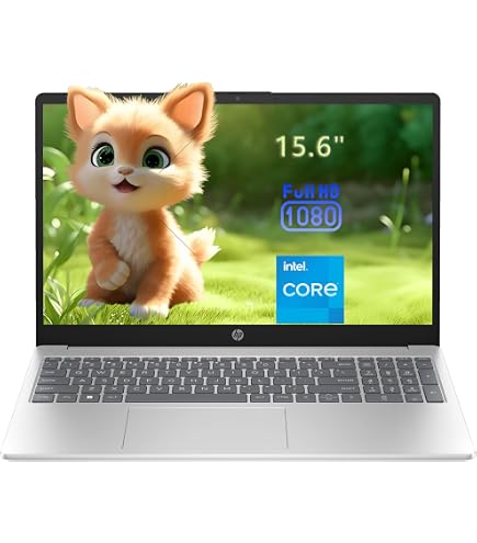 Amazon.com: HP 15.6